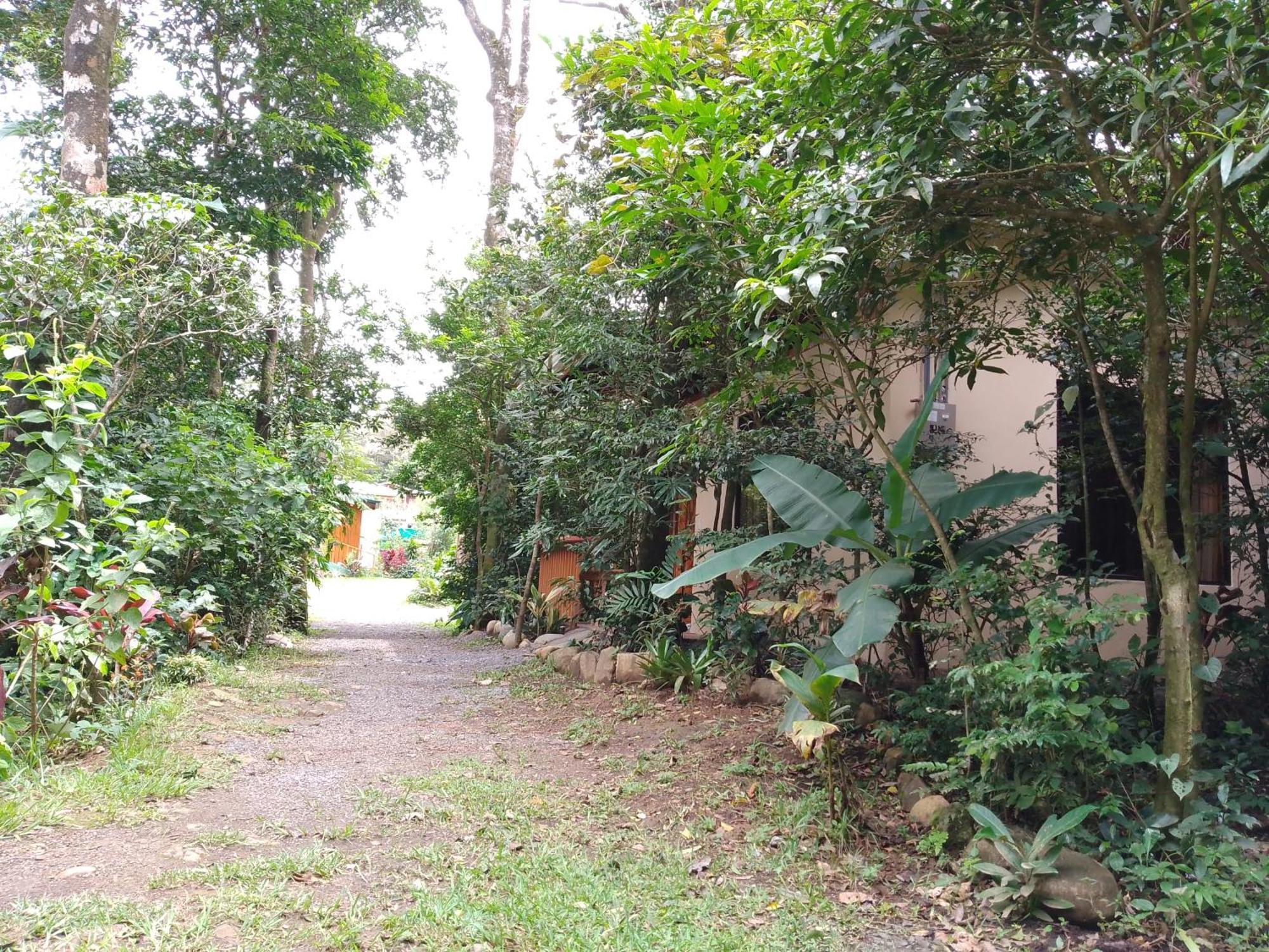 Casitas Del Bosque Monteverde. Номер фото